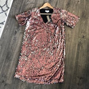J Crew sequin shift party dress silver & pink 💕